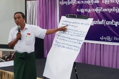 Yangon region land policy (9)